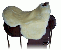 Saddlethumbnail